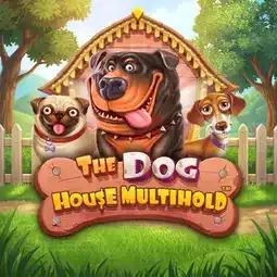 The Dog House Multihold gra w Parimatch Casino dla graczy z Polski